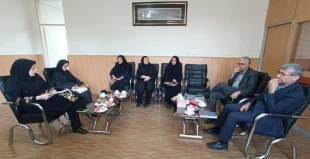 طراحی نقشه راه مشترک آموزشکده دختران مشهد و کالج دانشگاه فردوسی در حوزه آموزش‌های تخصصی 4